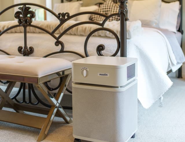 Air purifier for clean air