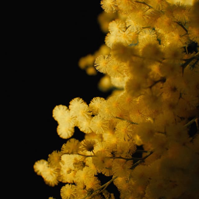 Fragrance or pollen causing harm